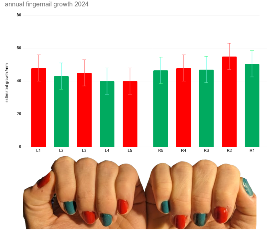 A bar chart of annual fingernail growth 2024, where each finger is put next to its corresponding bar. The data for the left hand are, thumb through pinkie, 48 43 45 40 40 mm/year, and the data for the right hand are, pinkie through thumb, 47 48 47 55 51 mm/year.