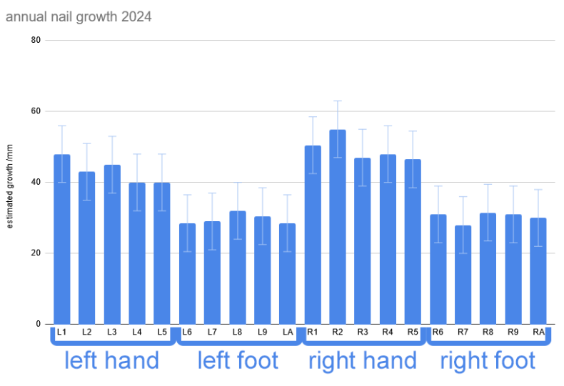 A similar bar chart to the one above, but now with the feet data added and the photo removed.